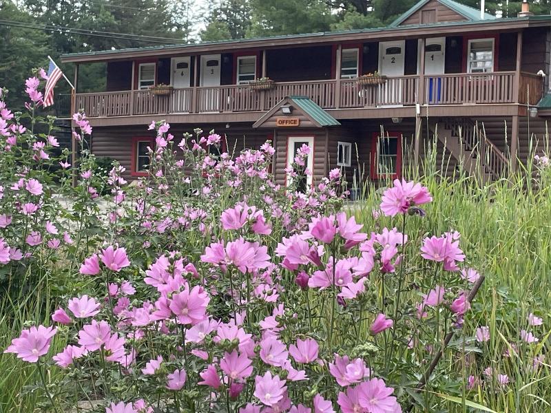 Mountain View Motel & Campground, Stratton