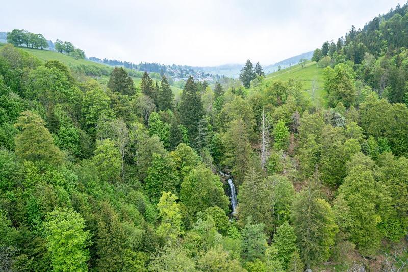 Black Forest Hotel image