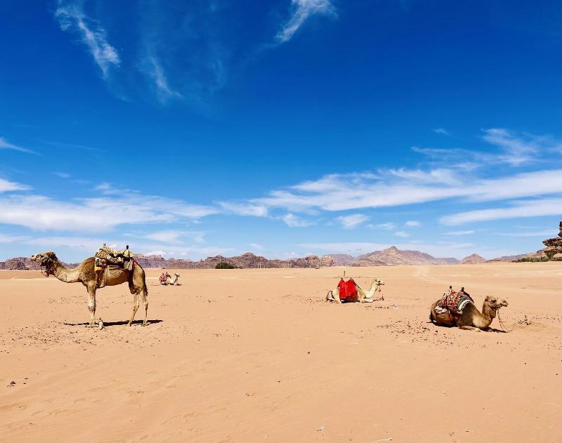 Shaheen Camp Wadi Rum image