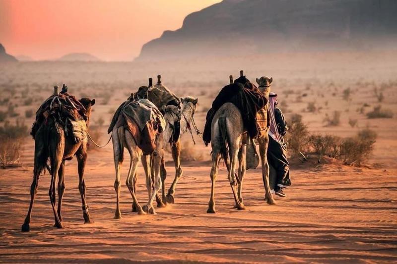 Shaheen Camp Wadi Rum image