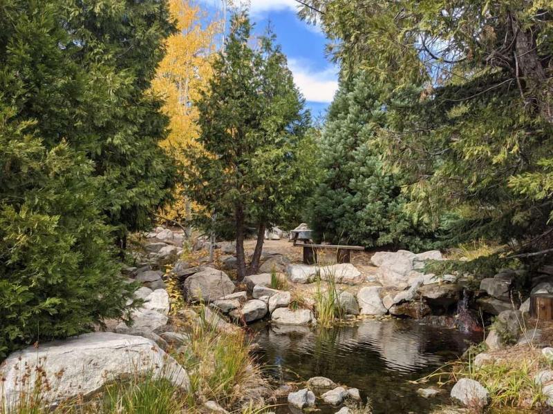 Arrowhead Pine Rose Cabins image