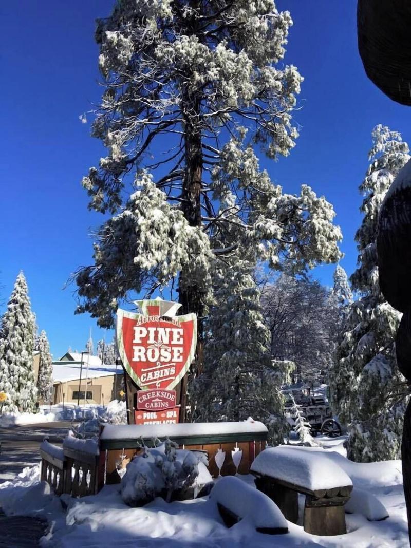 Arrowhead Pine Rose Cabins image