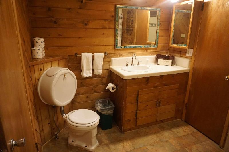 Arrowhead Pine Rose Cabins image