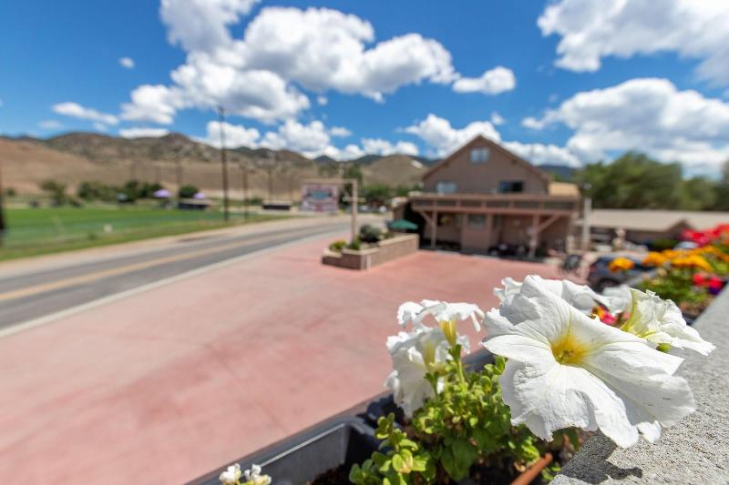 Woodland Motel — general view