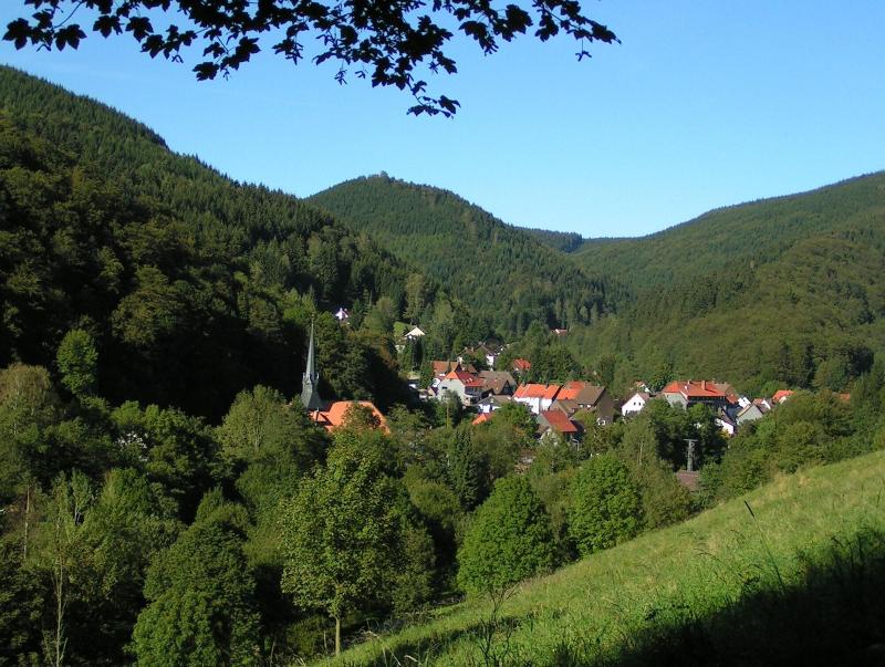 Harz Hotel Iris image