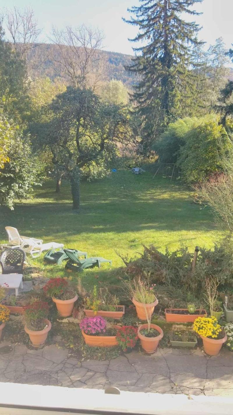 A La Grenouille image
