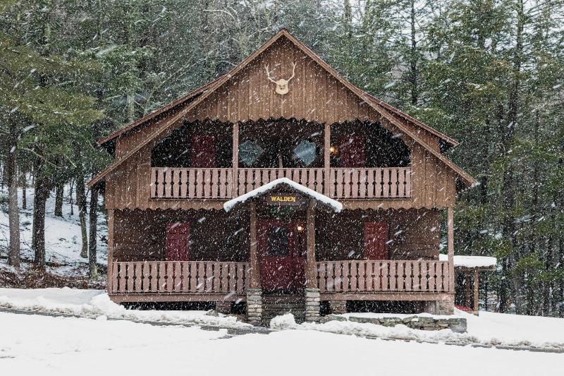 Urban Cowboy Lodge image