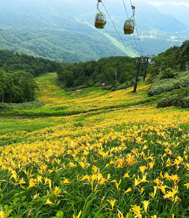 Shigakogen Shiroionsen Keikokunoyu image