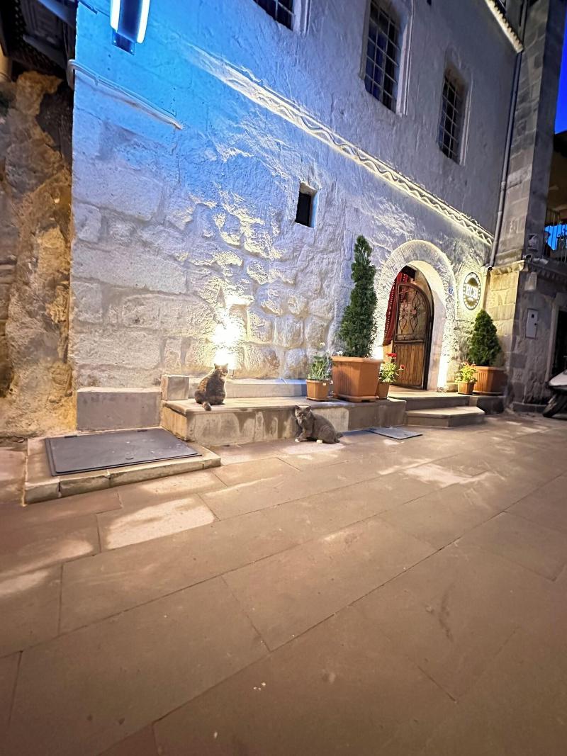Hira Cave Hotel image