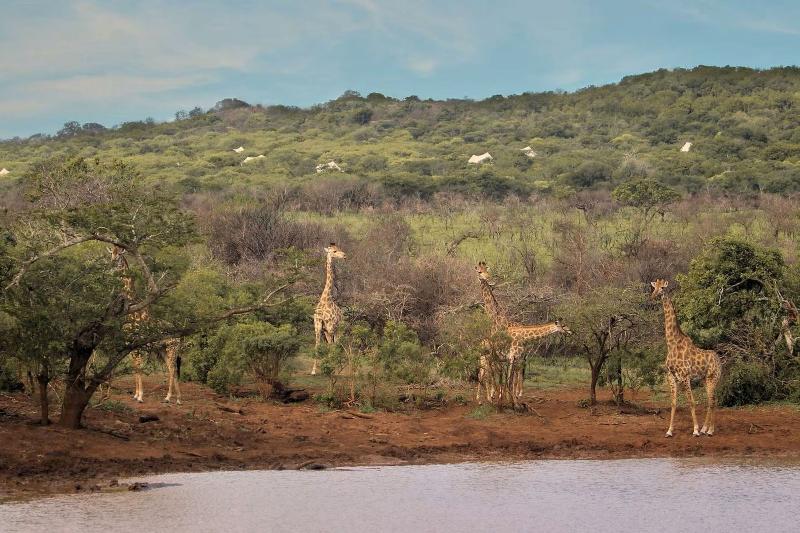 Jumeirah Thanda Safari