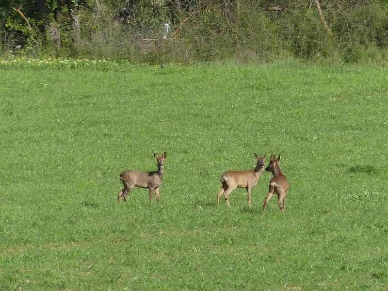 Le Domaine Des Sources image