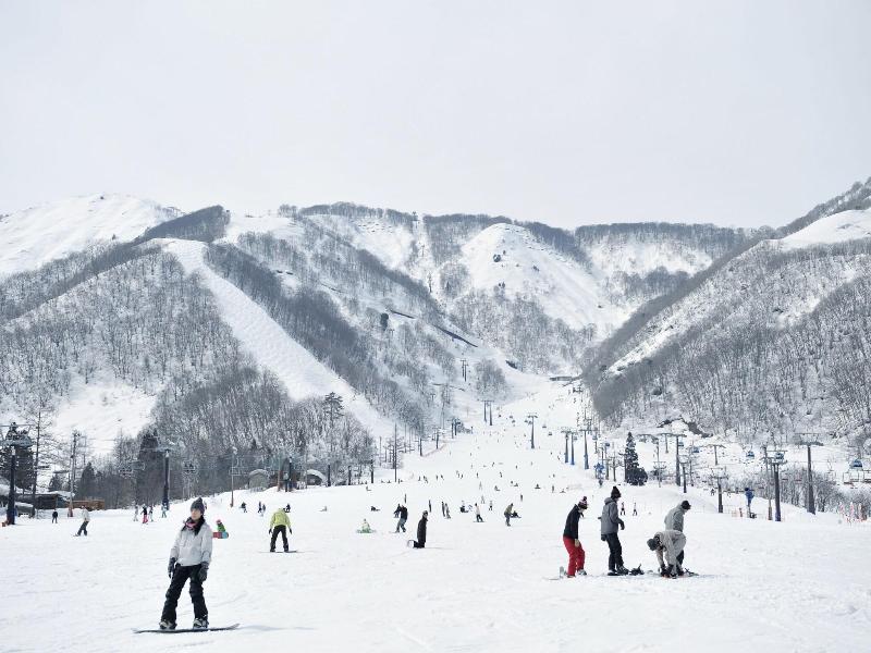 Hakuba Park Hotel image