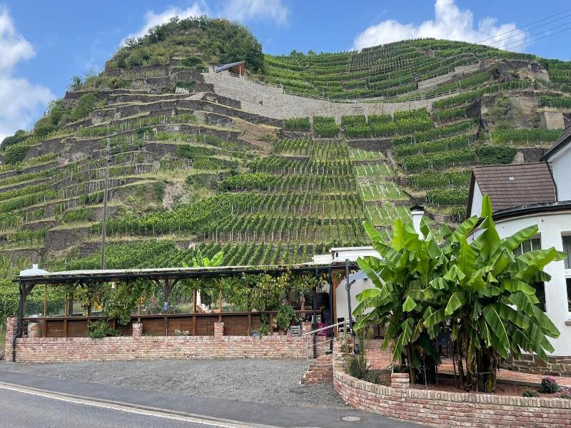 Winzerschenke image