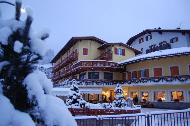 Hotel Alle Alpi image