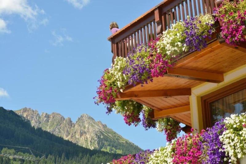 Hotel Alle Alpi image