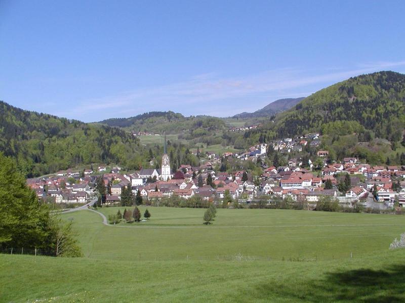 Parkhotel Sonne image