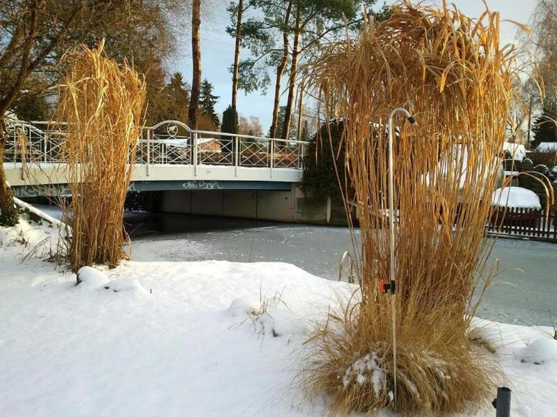 Pension An Der Elsterbr¬øcke image