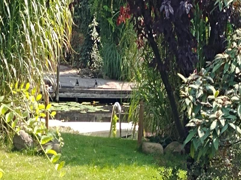 Pension An Der Elsterbr¬øcke image