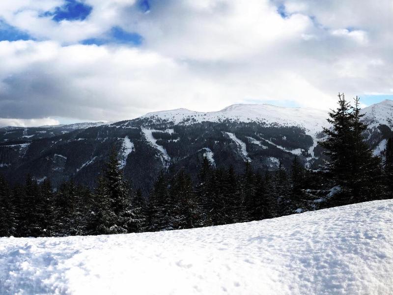Simal Alm image