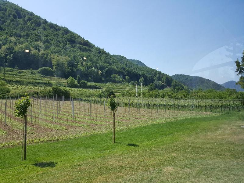 Gasthof Zur Wachau image