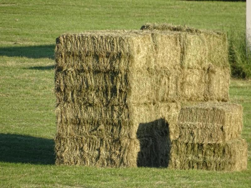 Heufelder Hof image
