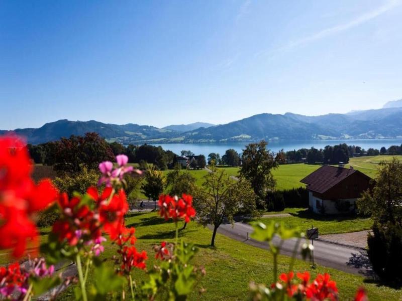 Hotel Haberl - Attersee image