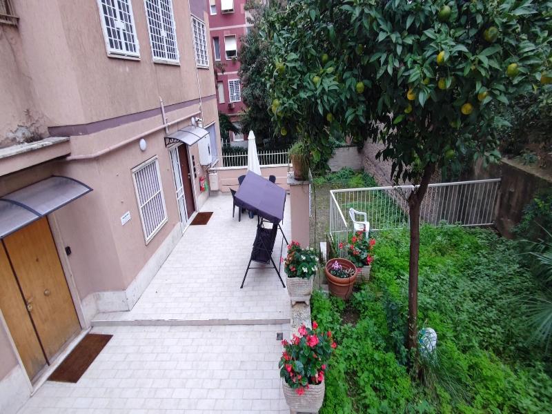 Vatican Green Garden image