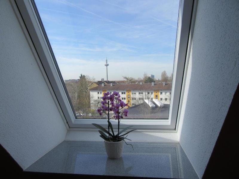 Haus Aja Textor-goethe image