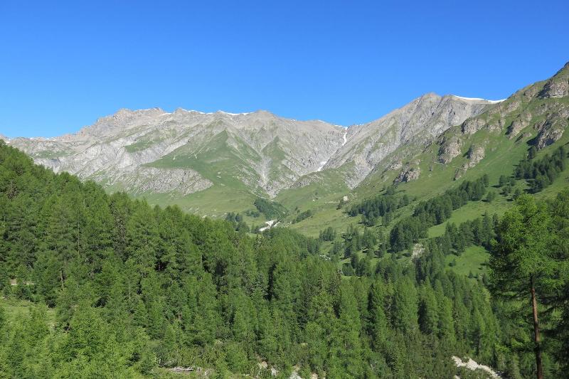 Pensiun Aldier image