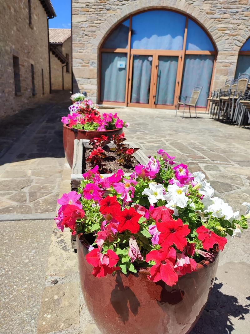 Casa Pirineo, Ainsa image
