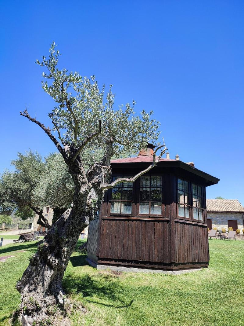 Casa Pirineo, Ainsa image