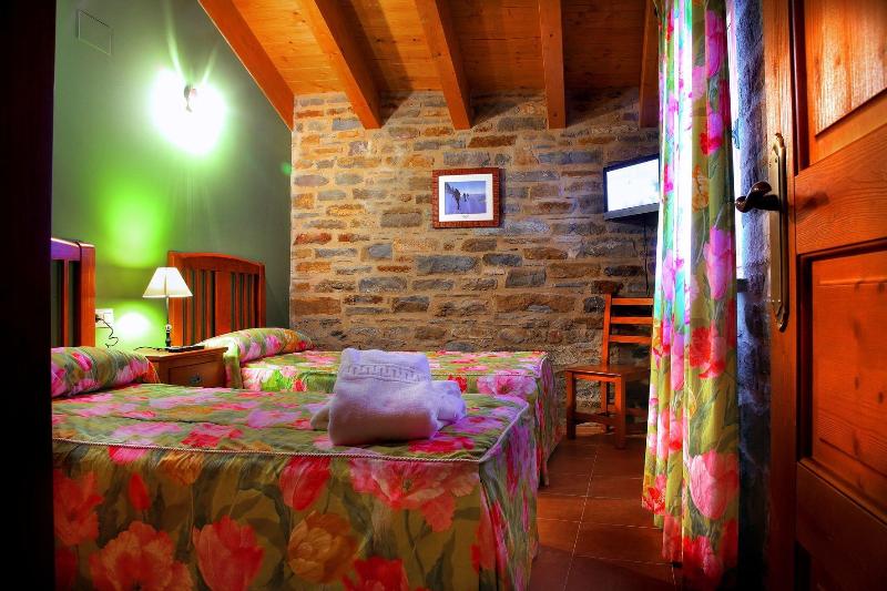 Casa Pirineo, Ainsa image