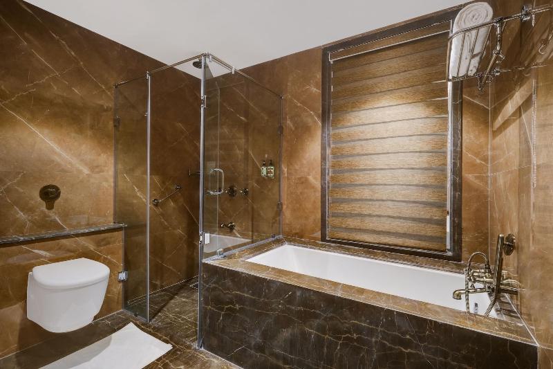 Lemon Tree Premier Dwarka image