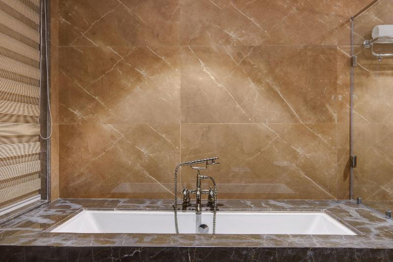 Lemon Tree Premier Dwarka image