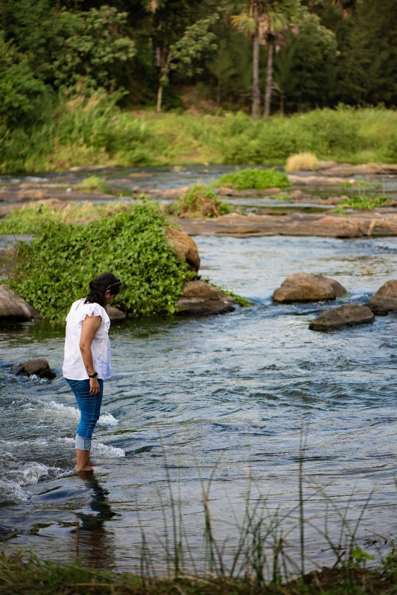 Ibex River Resort , Pollachi image