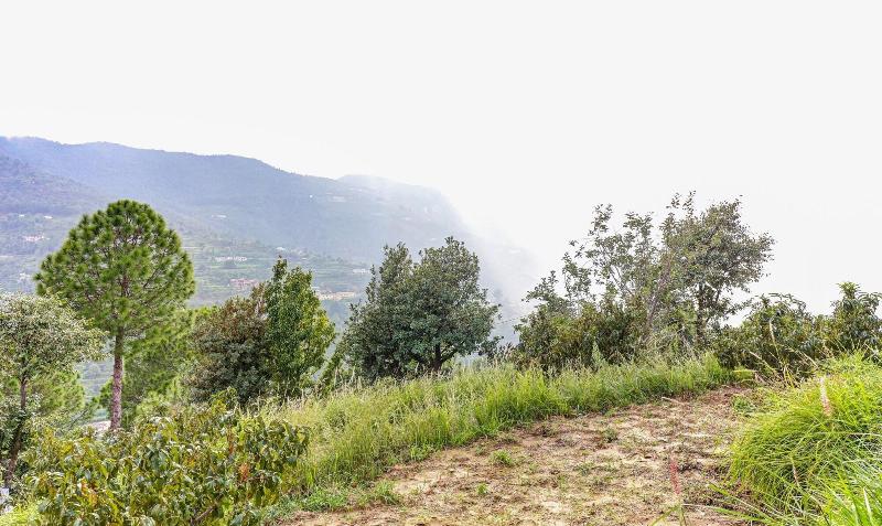 Treebo Om Villa With Mountain View