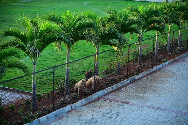 Hotel Parth Residency