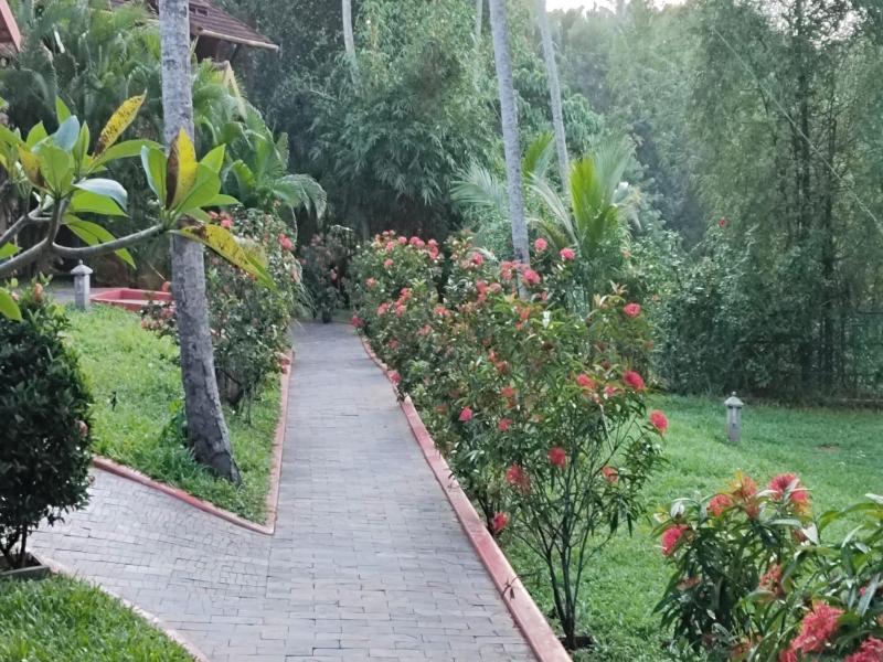 Amara Ayurveda Retreat image