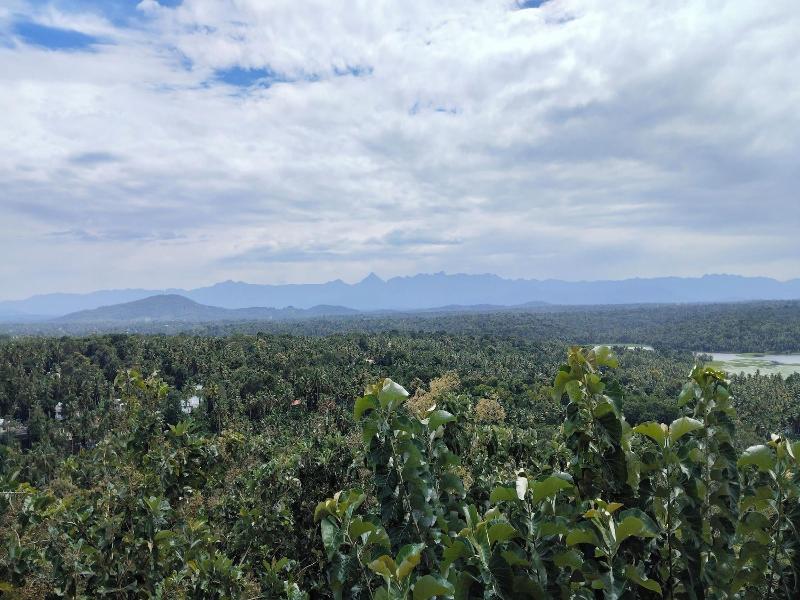 Amara Ayurveda Retreat image