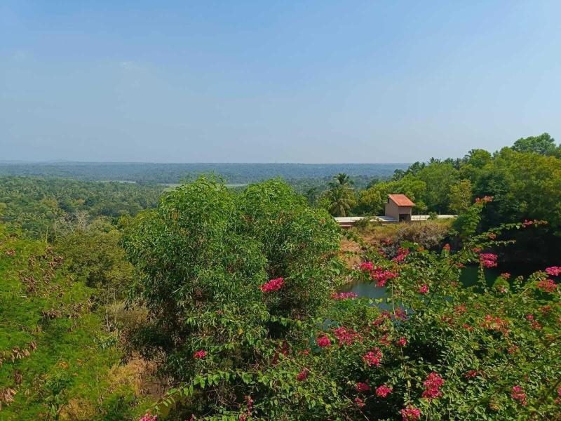 Amara Ayurveda Retreat image