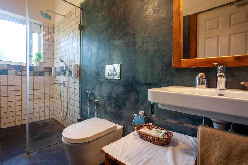 Amara Ayurveda Retreat image