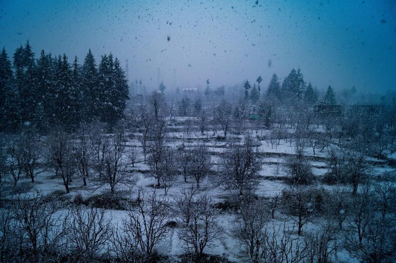 Alt Life Manali image