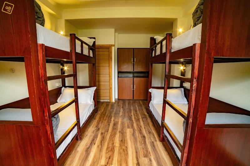 Alt Life Manali image