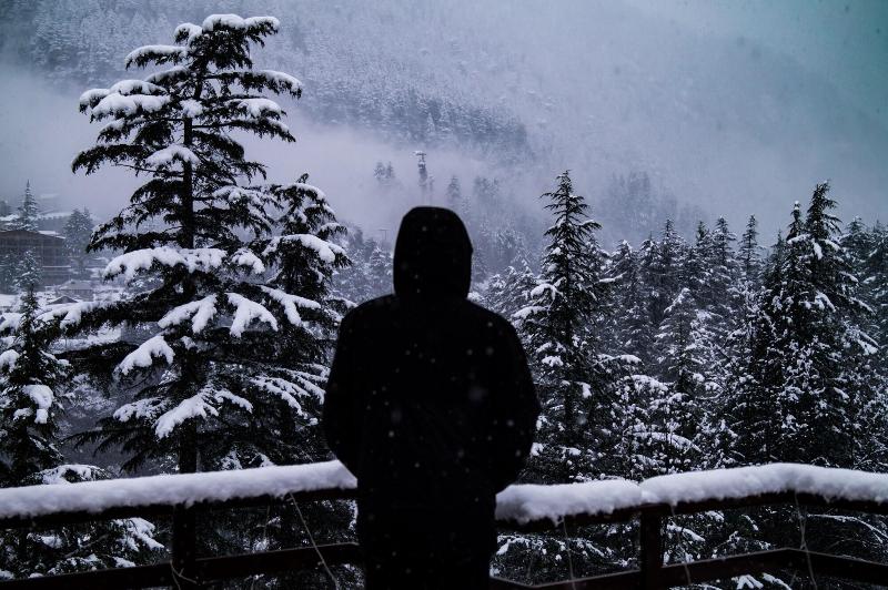 Alt Life Manali image