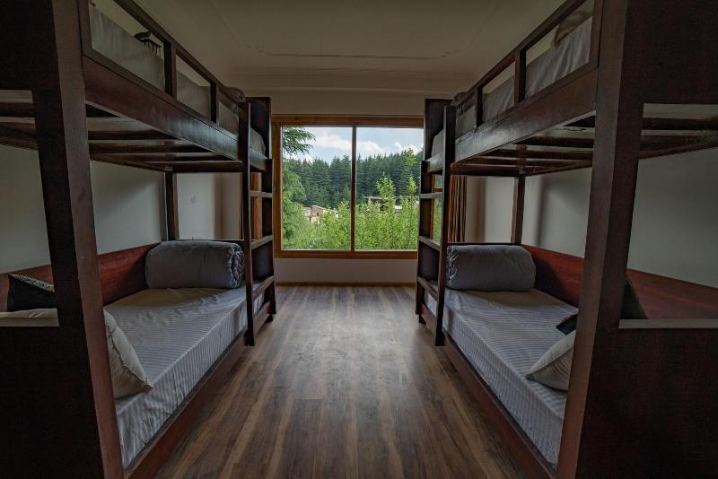 Alt Life Manali image