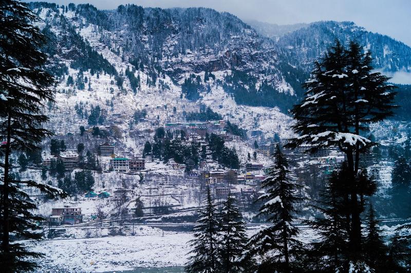 Alt Life Manali image