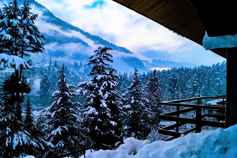 Alt Life Manali image