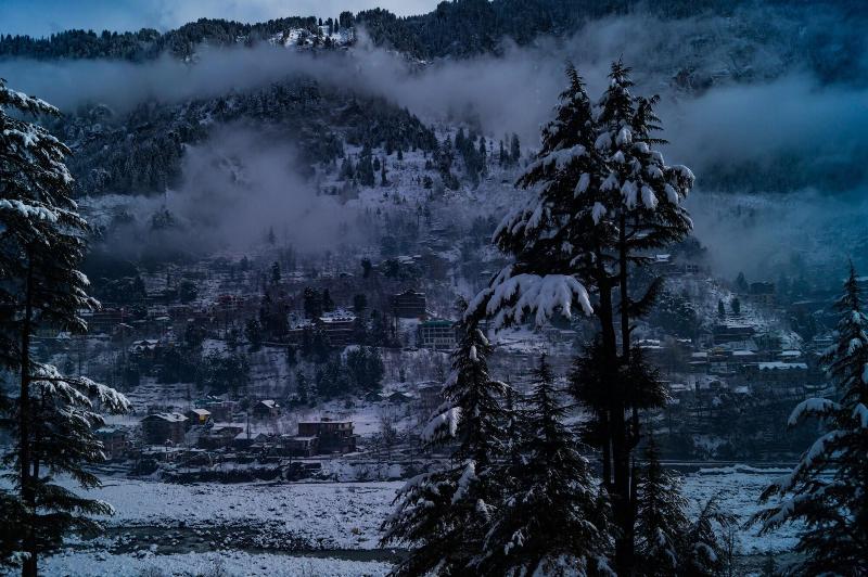Alt Life Manali image