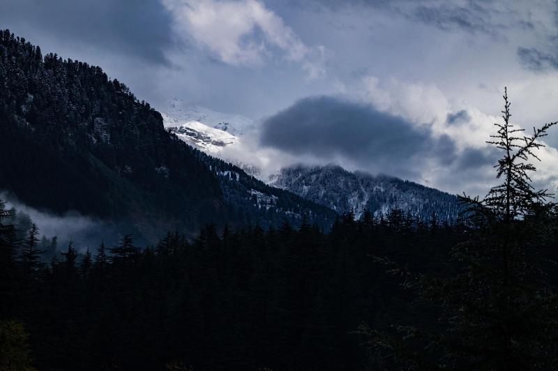 Alt Life Manali image