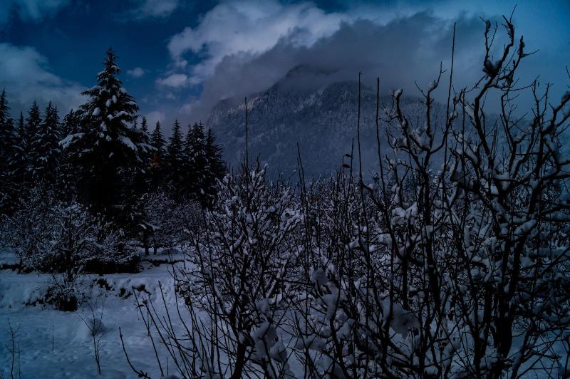 Alt Life Manali image